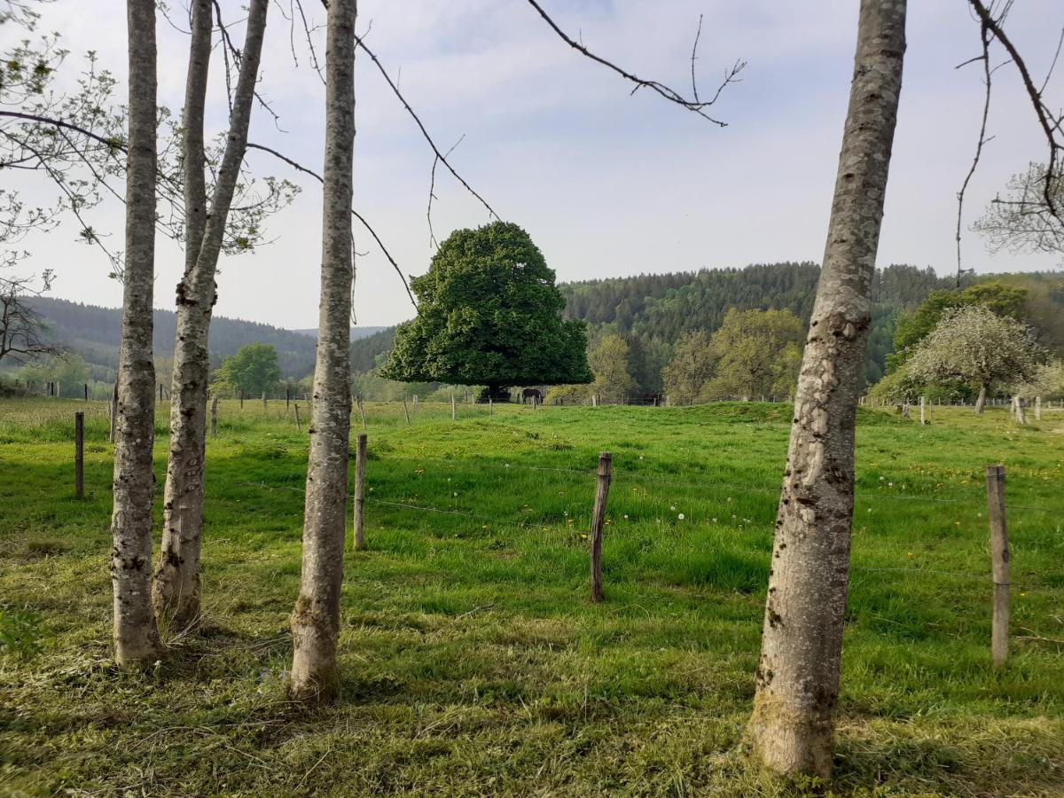 Le Repos Du Nomade B&B 7 Personnes Manhay Zewnętrze zdjęcie